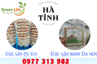 Top 2 Đặc Sản Tại Hà Tĩnh Top 2 Đặc Sản Tại Hà Tĩnh